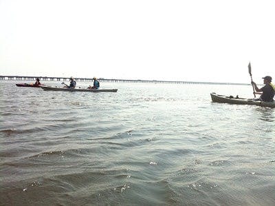 Matt Kearley takes his students to various places around Alabama for his vertebrate biodiversity class during the summer semesters.