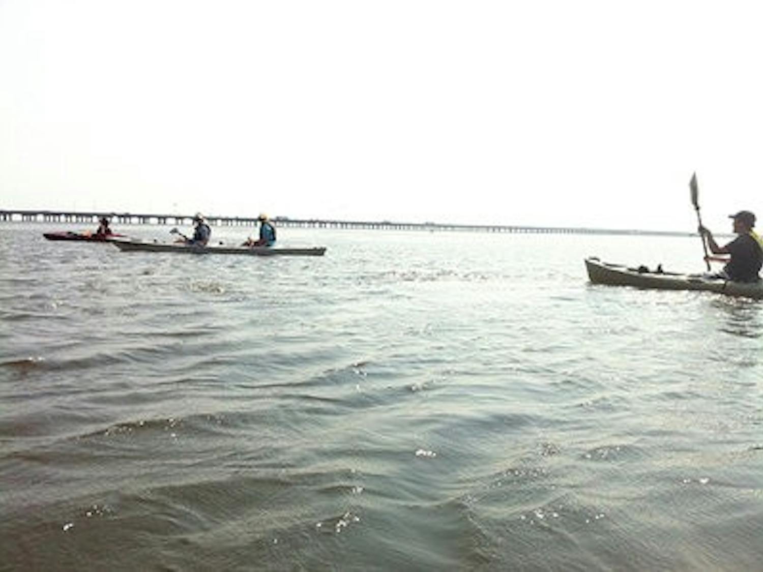 Matt Kearley takes his students to various places around Alabama for his vertebrate biodiversity class during the summer semesters.