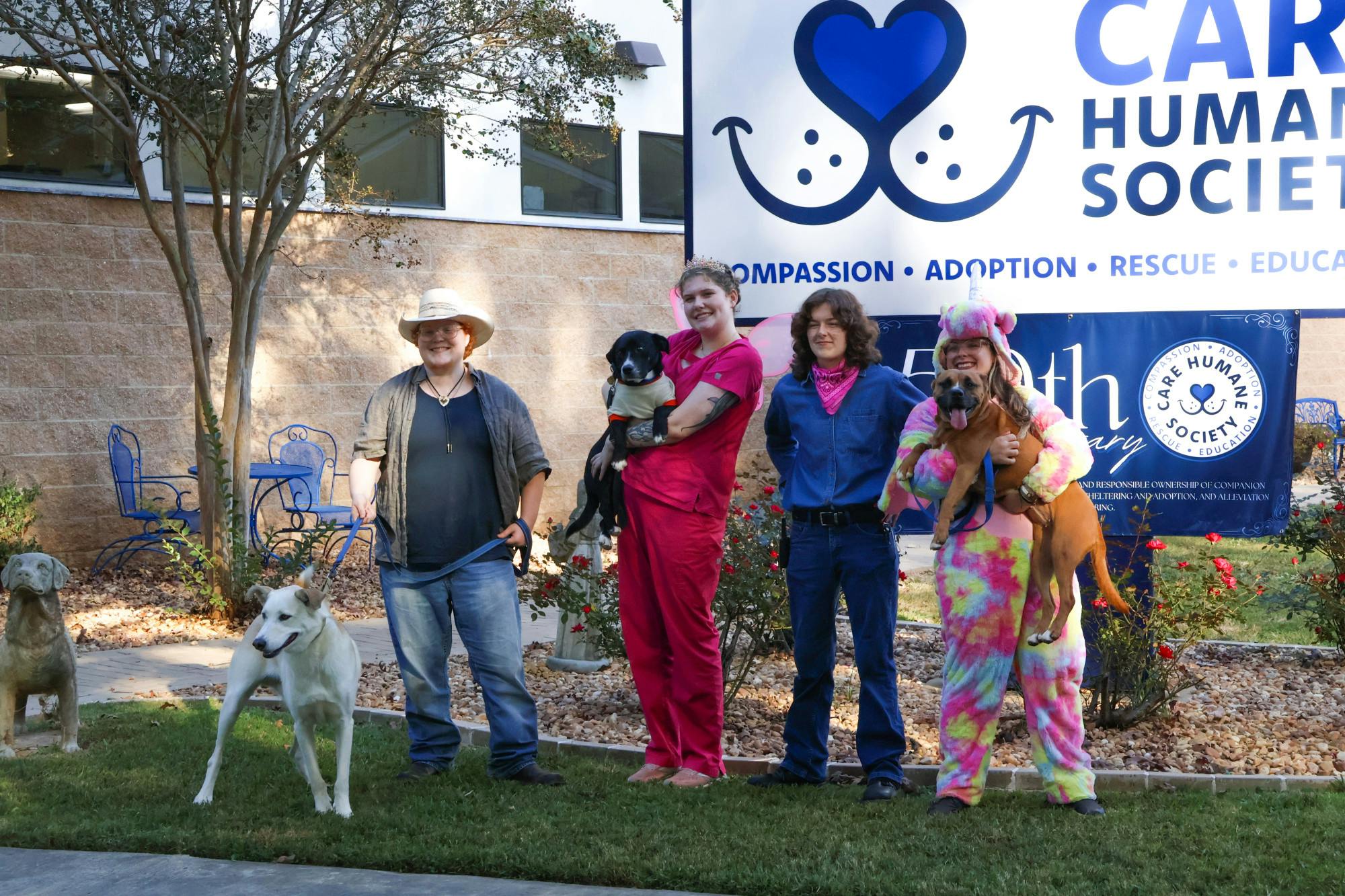 Auburn humane shops society dogs