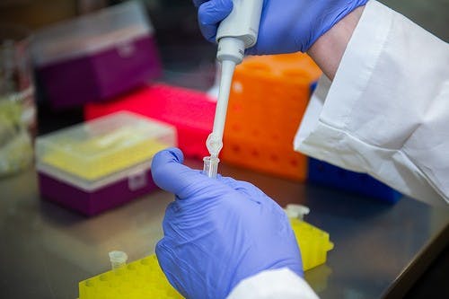 Researcher holds test tube in a lab