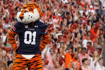 Aubie