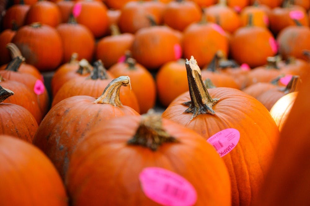 Uncarved pumpkins sit on the steps of Dudley Hall during 28th Annual Pumpkin Carving on Friday, Oct. 28, 2016 in Auburn, Ala.&nbsp;