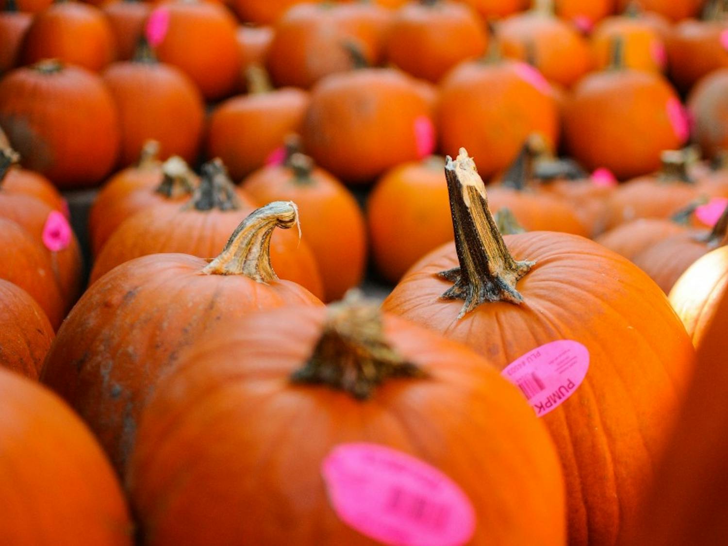 Uncarved pumpkins sit on the steps of Dudley Hall during 28th Annual Pumpkin Carving on Friday, Oct. 28, 2016 in Auburn, Ala. 