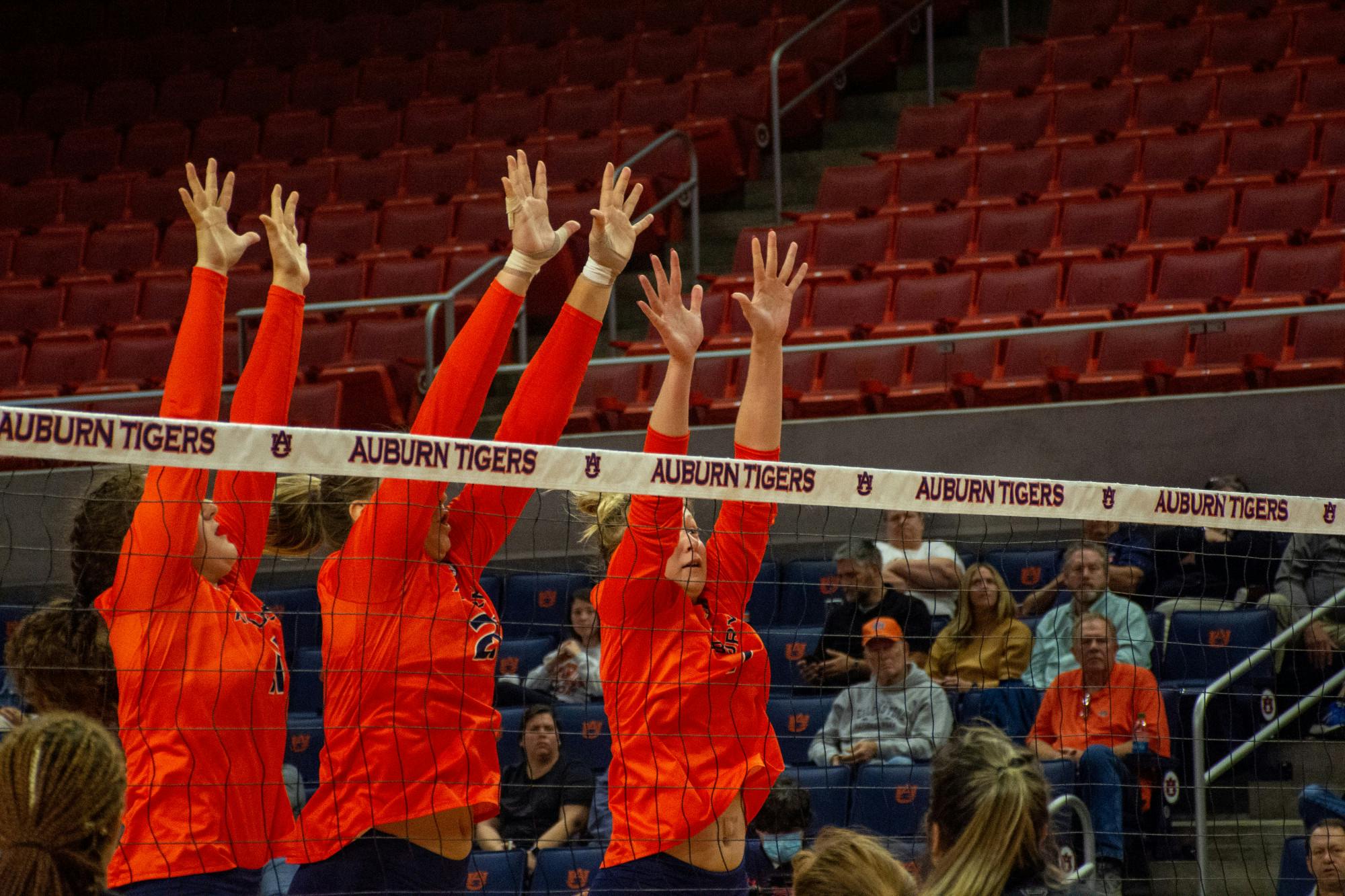 Volleyball vs South Carolina