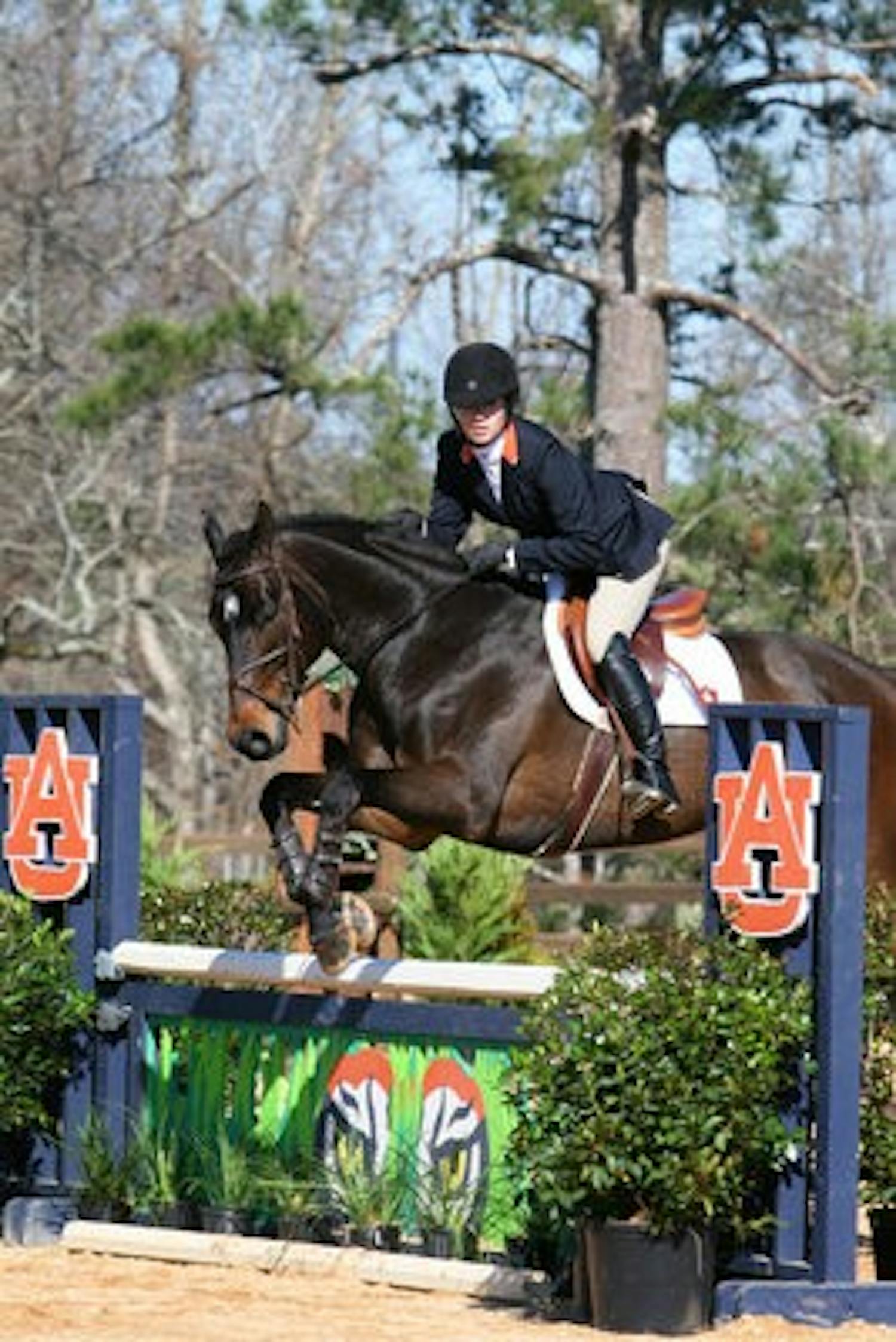 Senior hunt seat rider Maggie McAlary rides against Oklahoma State. The top-ranked equestrian team will compete at home Saturday against No. 3 Georgia, the only team to beat the Tigers this season. (Rebecca Croomes / PHOTO EDITOR)
