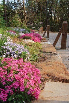 The Auburn University arboretum is part of the Auburn Floral Trail. The trail is at its peak  through April 12 and is open to cars as well as pedestrians. (Maria Iampietro / Associate Photo Editor)