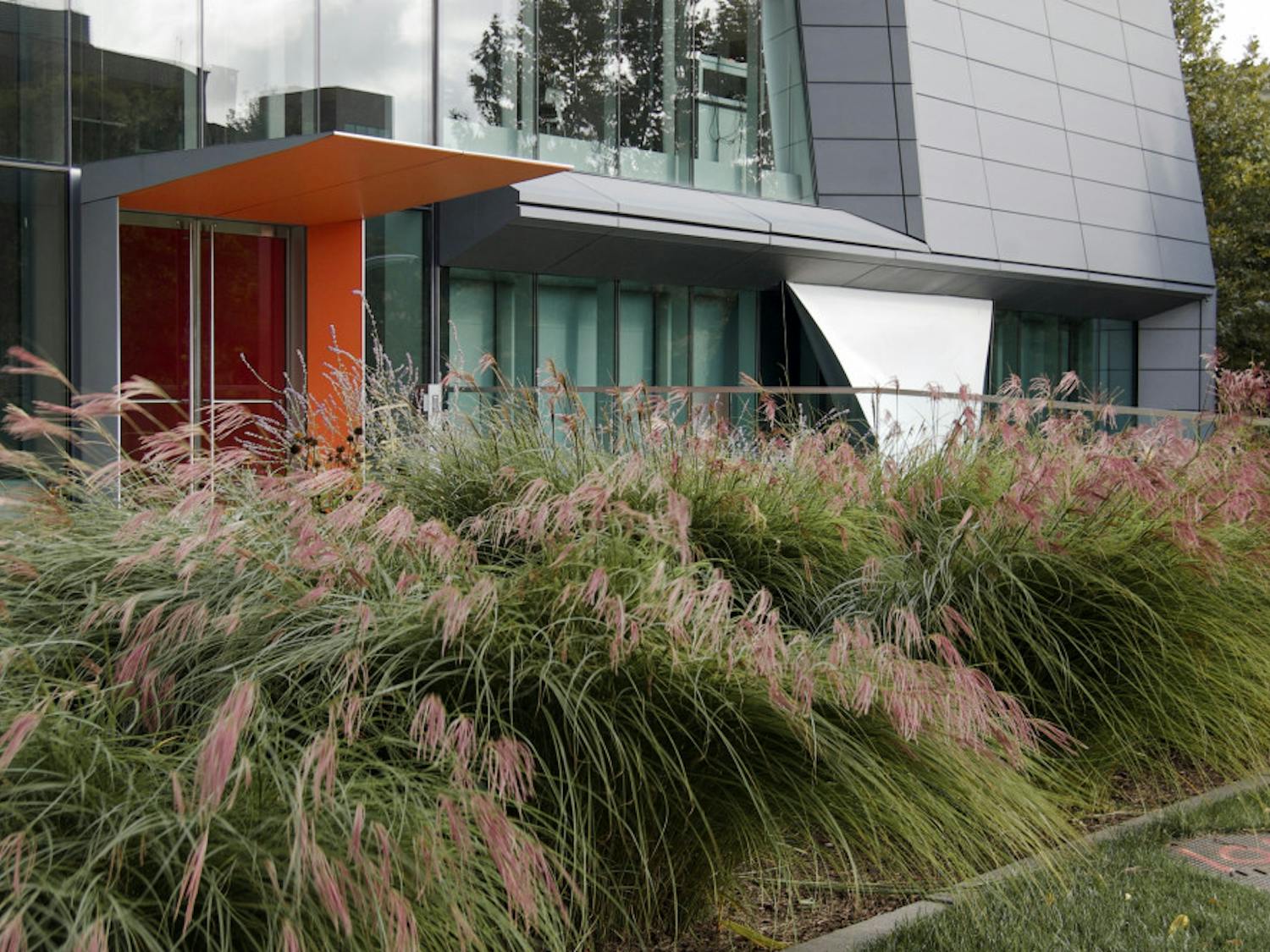 Newbury_BAI-Remaking-the-Real