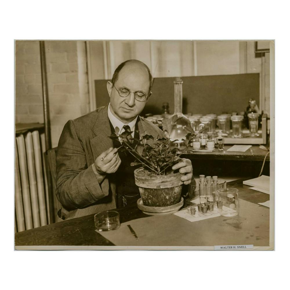 <p>Former Brown professor Walter H. Snell was integral in mycology —&nbsp;the scientific study of fungi — and a notable figure in Brown’s history. </p><p>Courtesy of Brown Digital Repository</p>