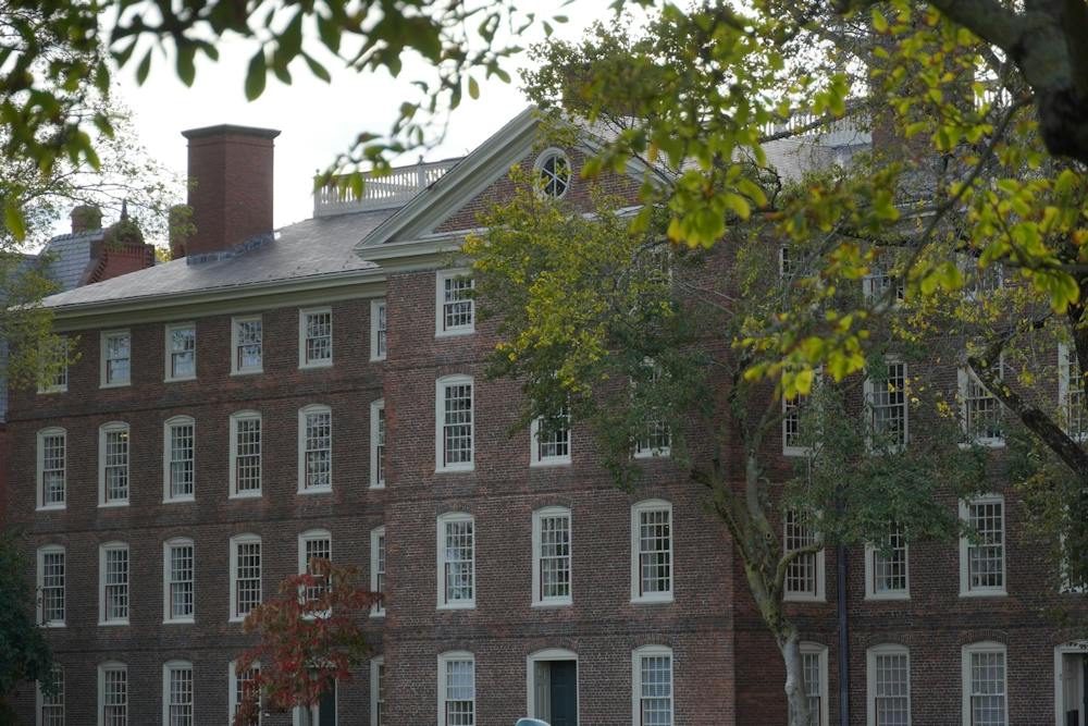 University Hall partially obscured by a tree. 