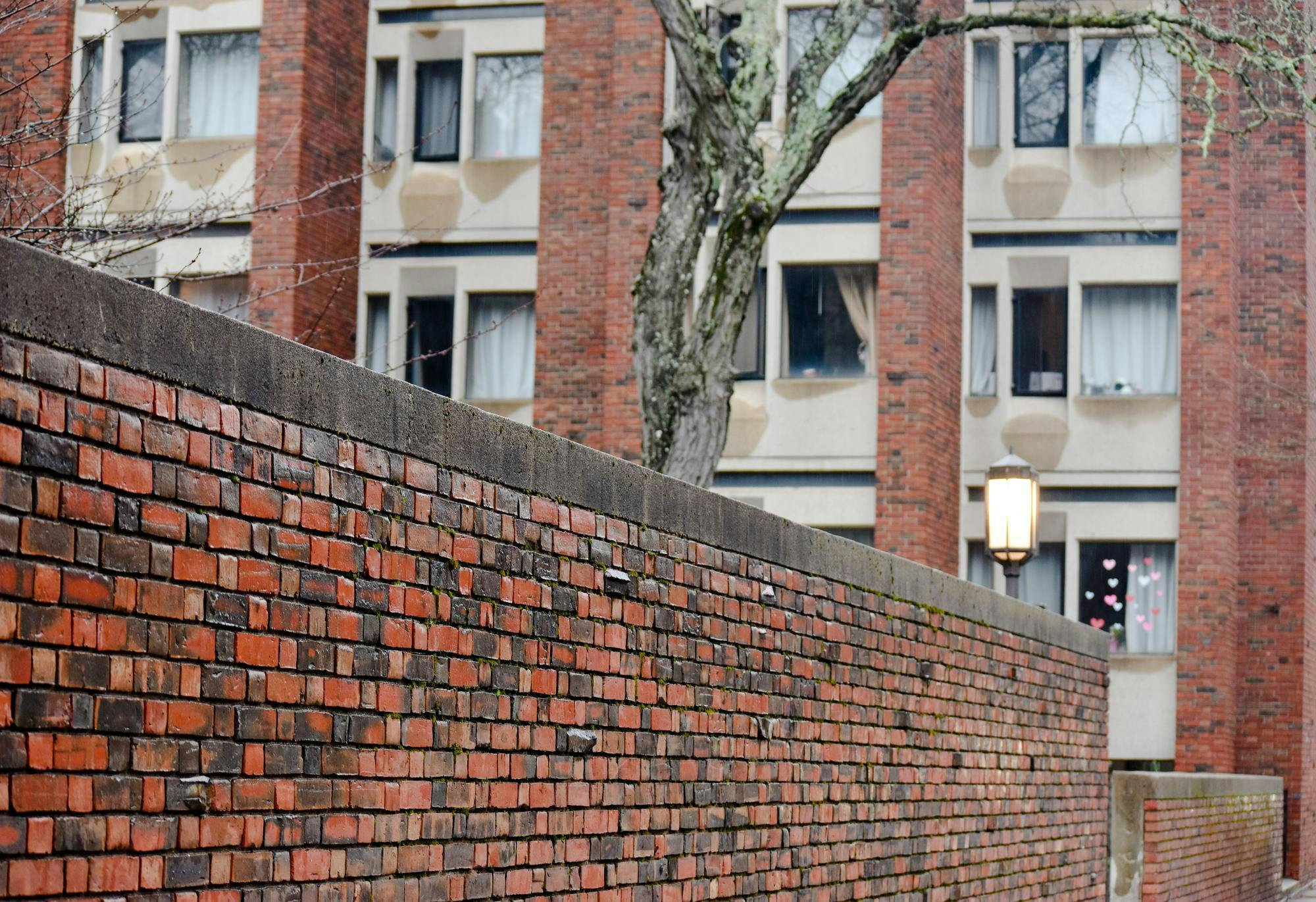 Brown's Graduate Center. A lit lantern and a lichen-covered tree stand outside.