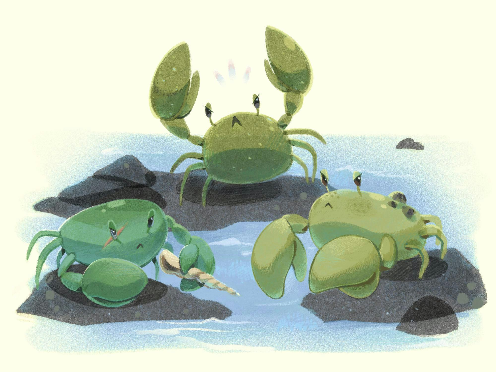 Illustration of three green crabs arranged in a triangle shape with one holding its claws up in astonishment and the other two seemingly angry with their claws down.