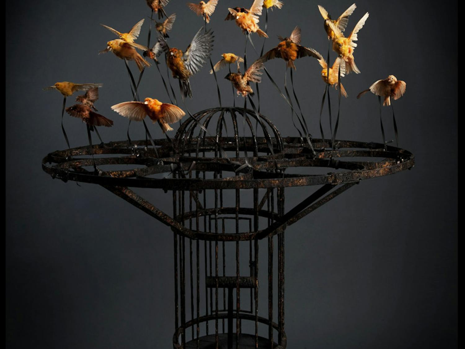 High_Dead-Animals_Rolland-High