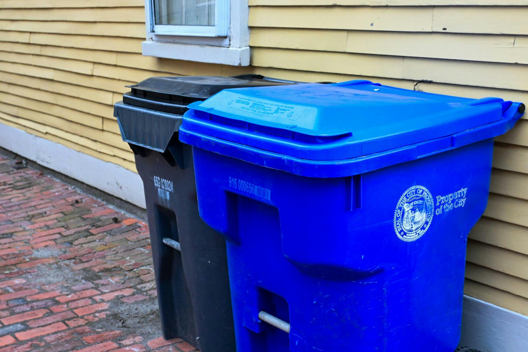 Two large recycling bins, blue and black, side by side in front of a yellow house.