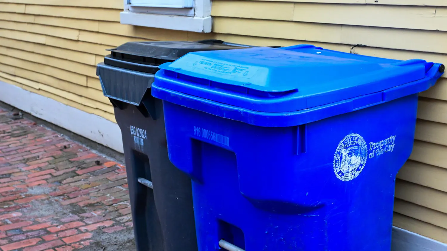 Two large recycling bins, blue and black, side by side in front of a yellow house.