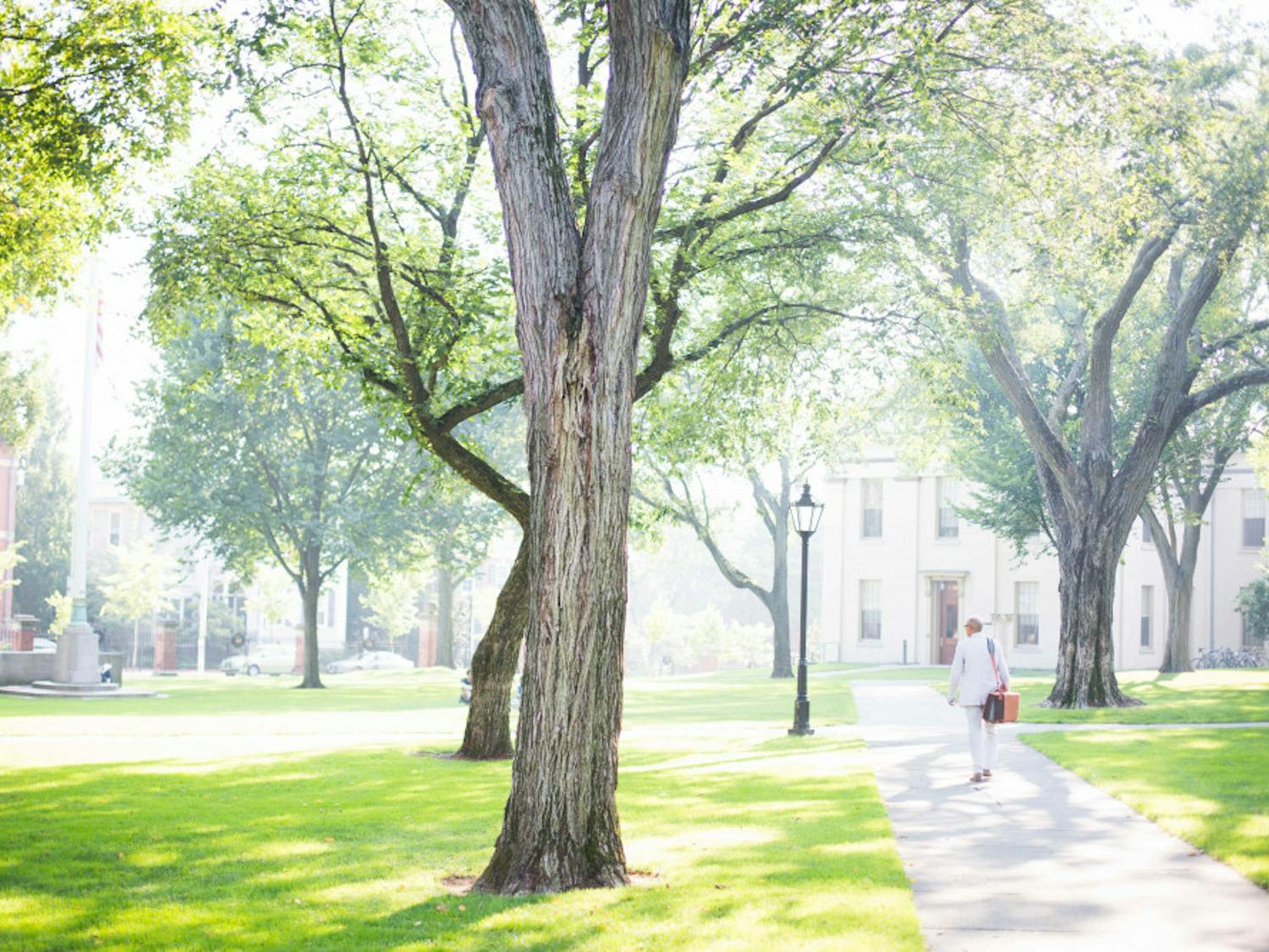 wildcard_arjunNarayen