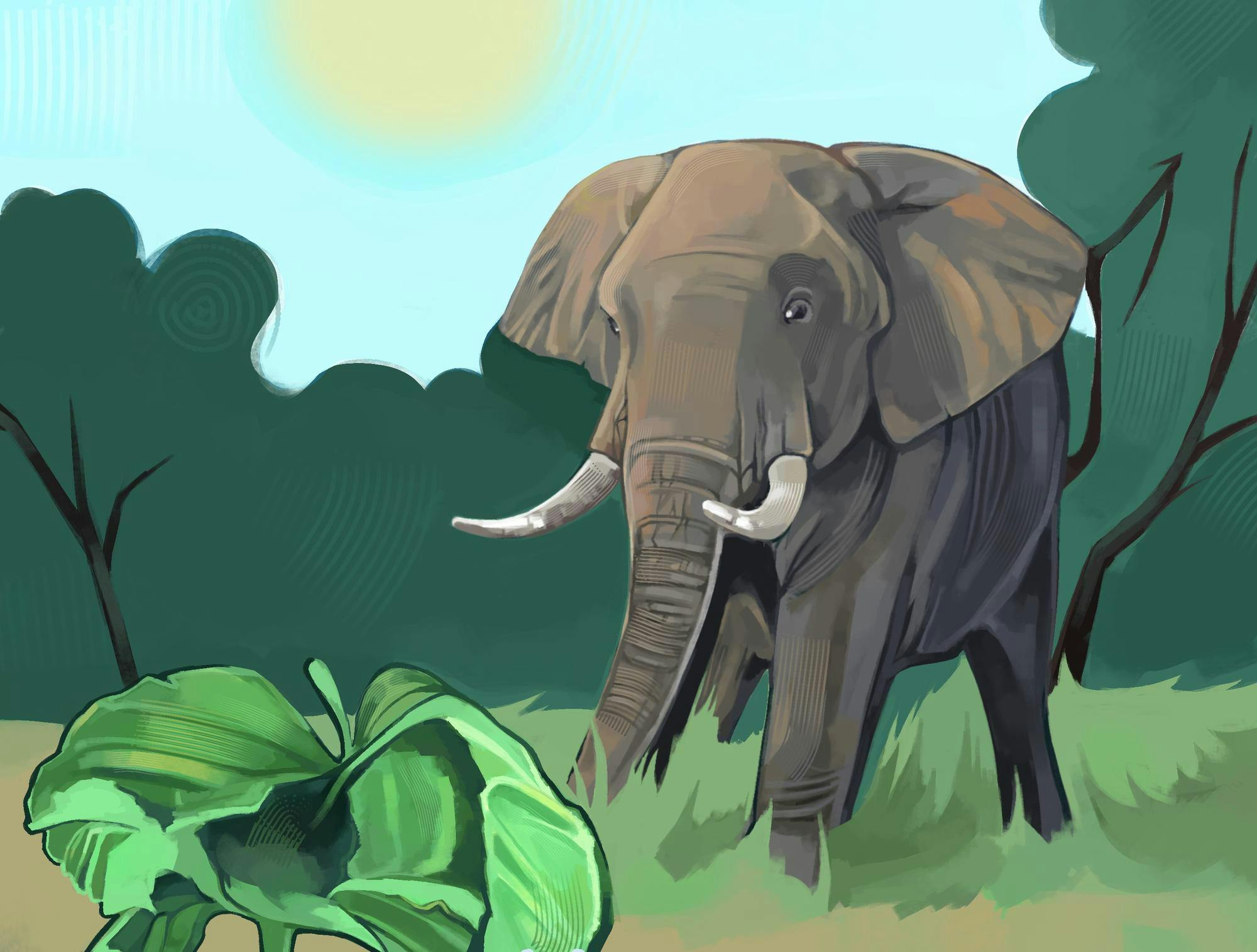 An illustration of an African Elephant walking through tall grass towards a vibrant green plant. There are dark green trees in the background. The sky is bright blue and the sun is shining.