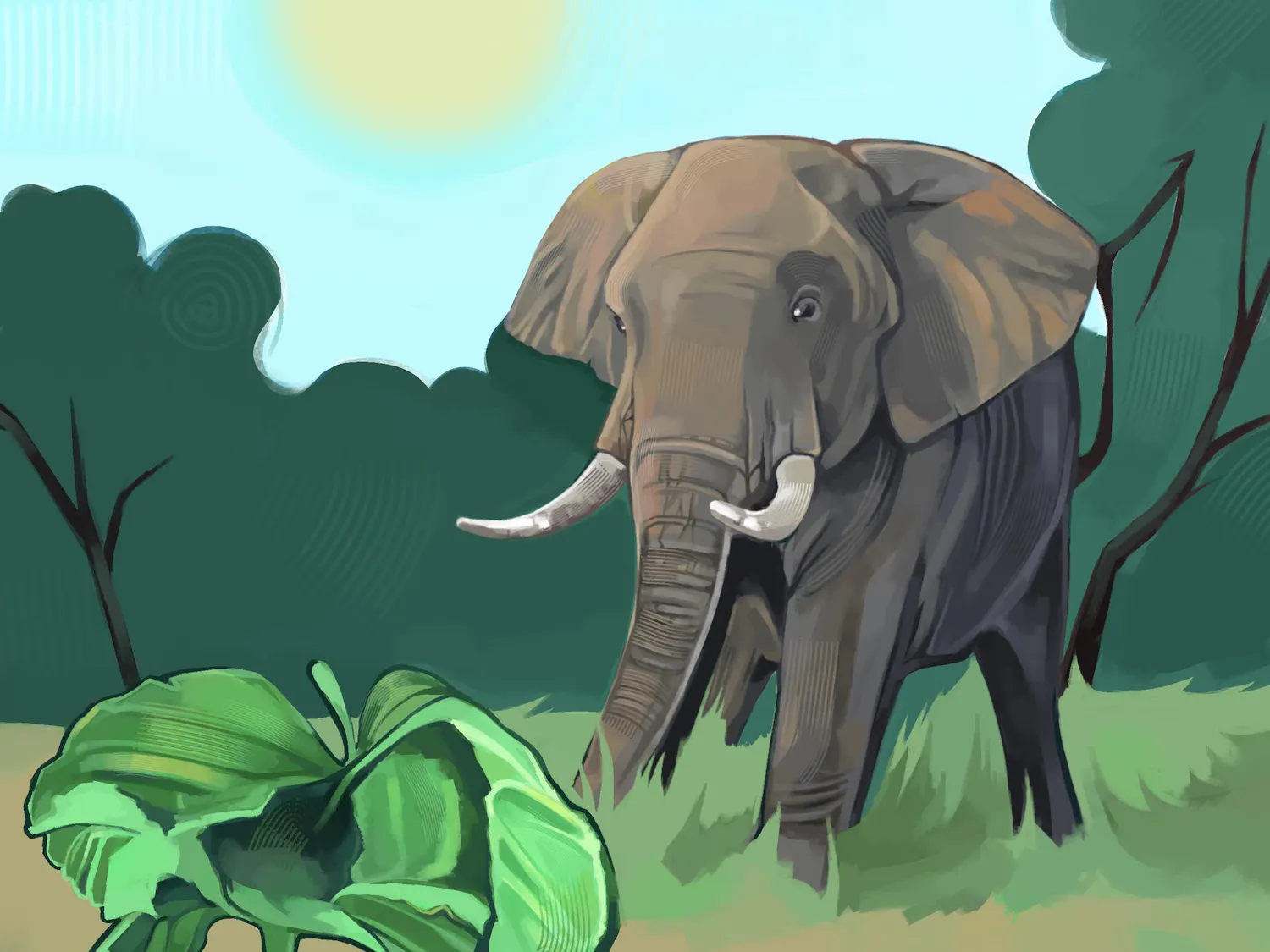 An illustration of an African Elephant walking through tall grass towards a vibrant green plant. There are dark green trees in the background. The sky is bright blue and the sun is shining.