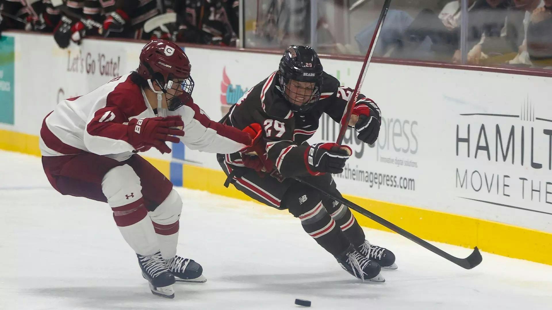 ToddSlabaugh via Brown Athletics .jpeg