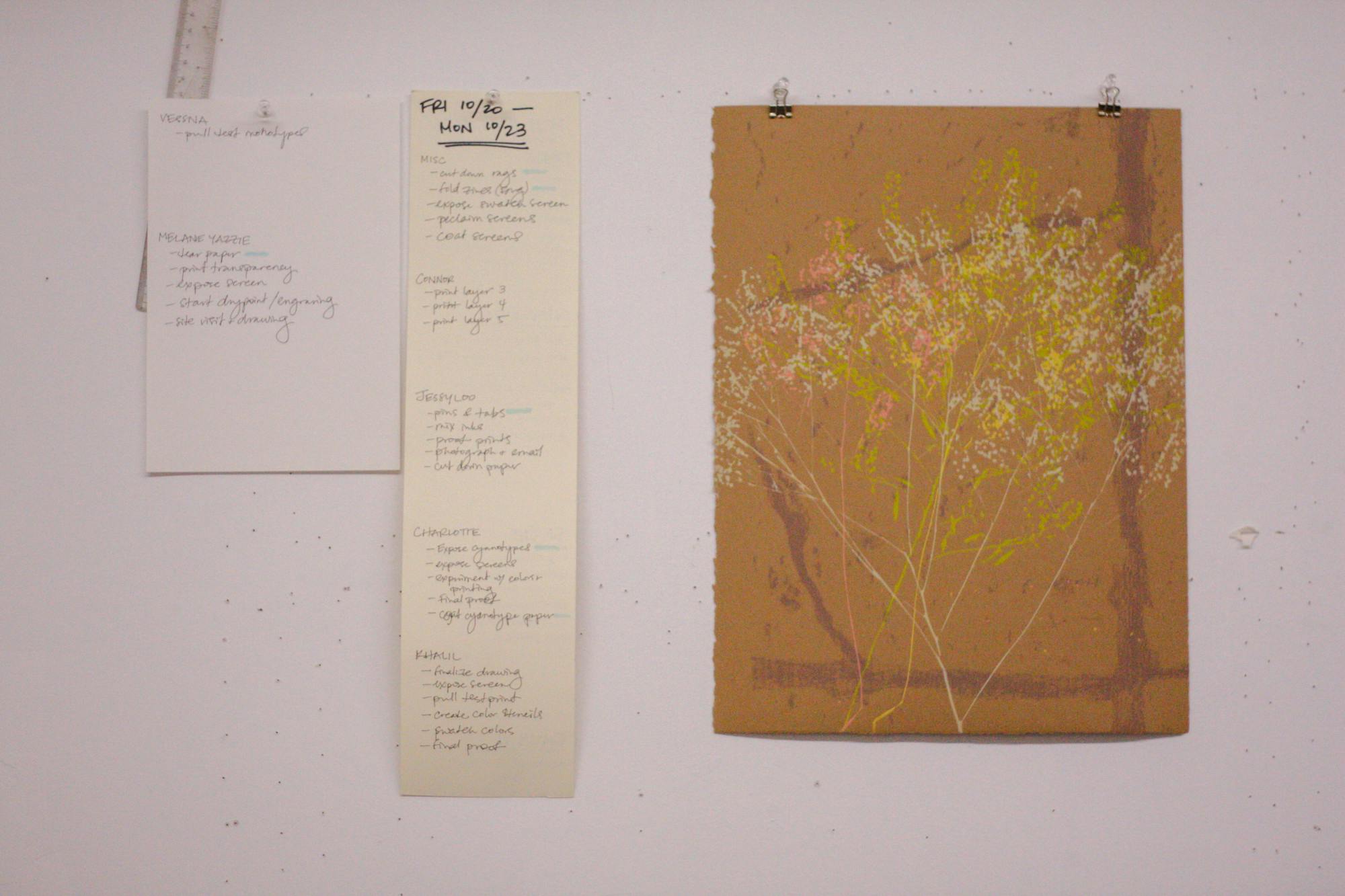 vaz_pvdherbarium_co-kaiolena tacazon-3.jpg