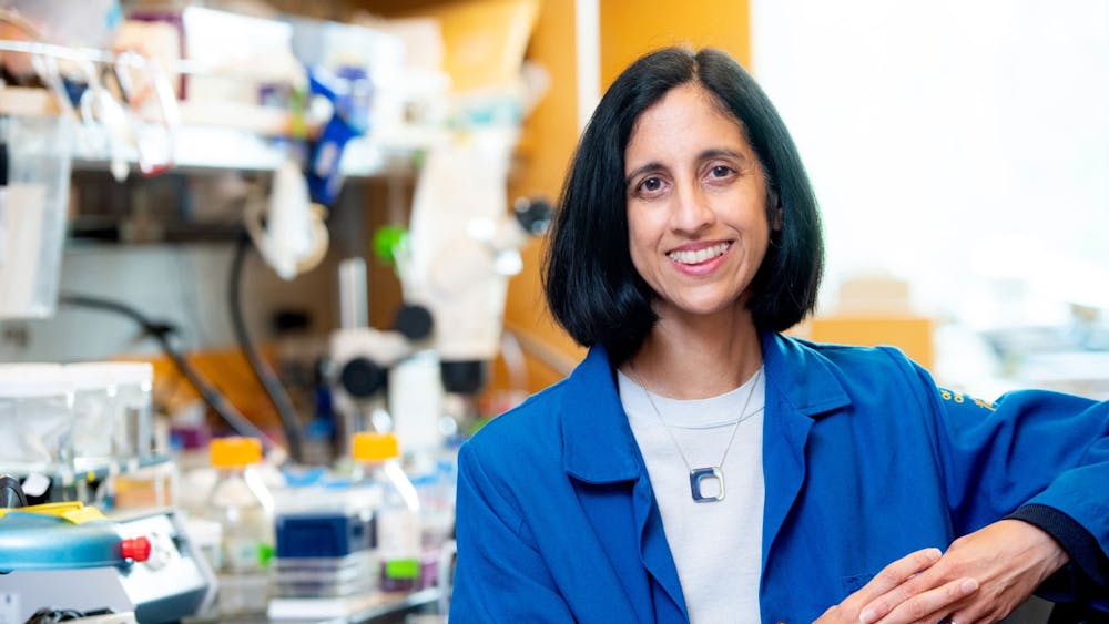 <p>Tejal Desai ‘94 said she is excited to focus on the expansion of new research directions, educational aspects and engineering faculty, as well as bringing diversity, equity and inclusion to the department.</p>