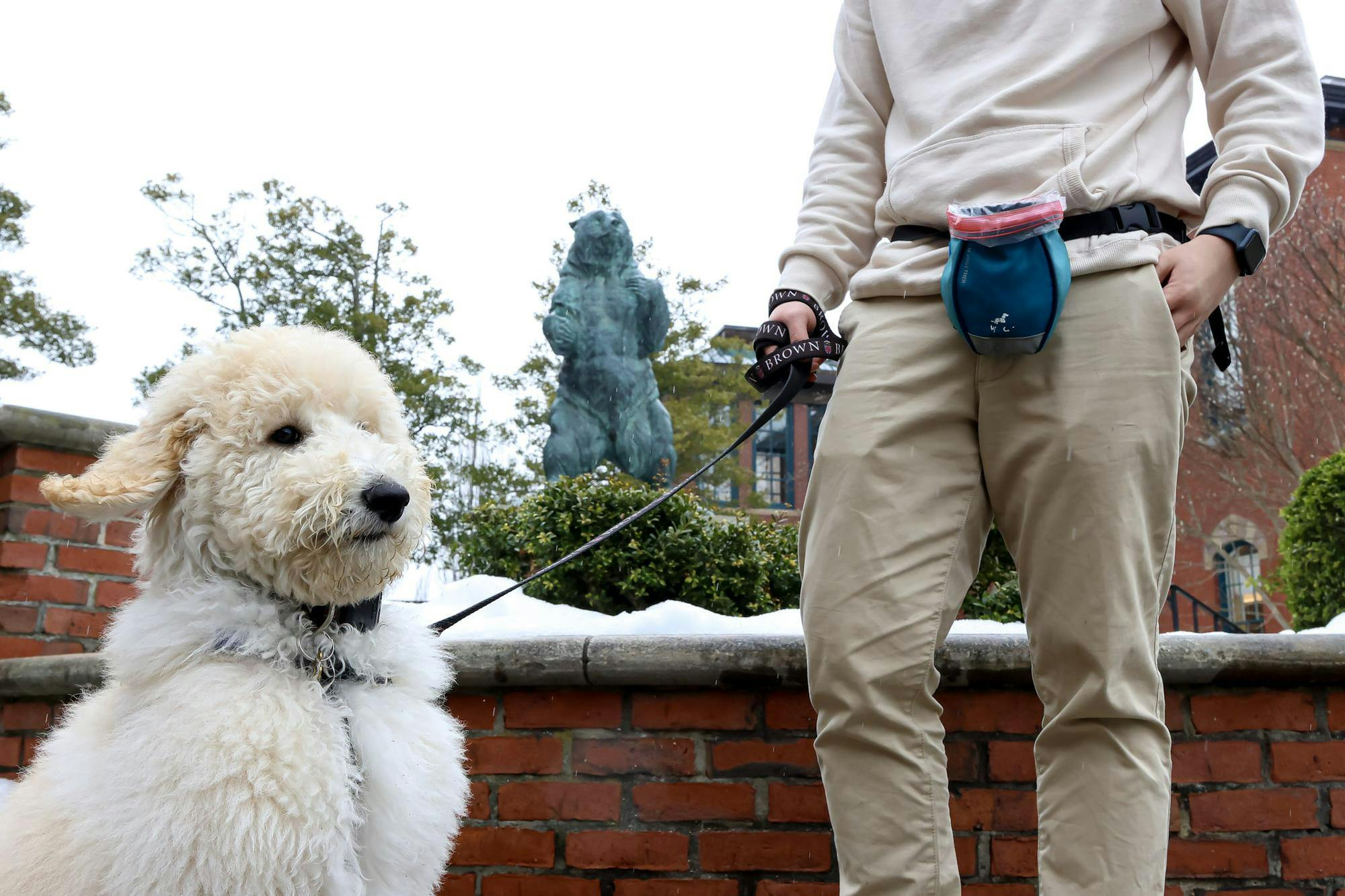 A photo of a sitting dog and its walker in front of the Bruno statue by the Main Green.