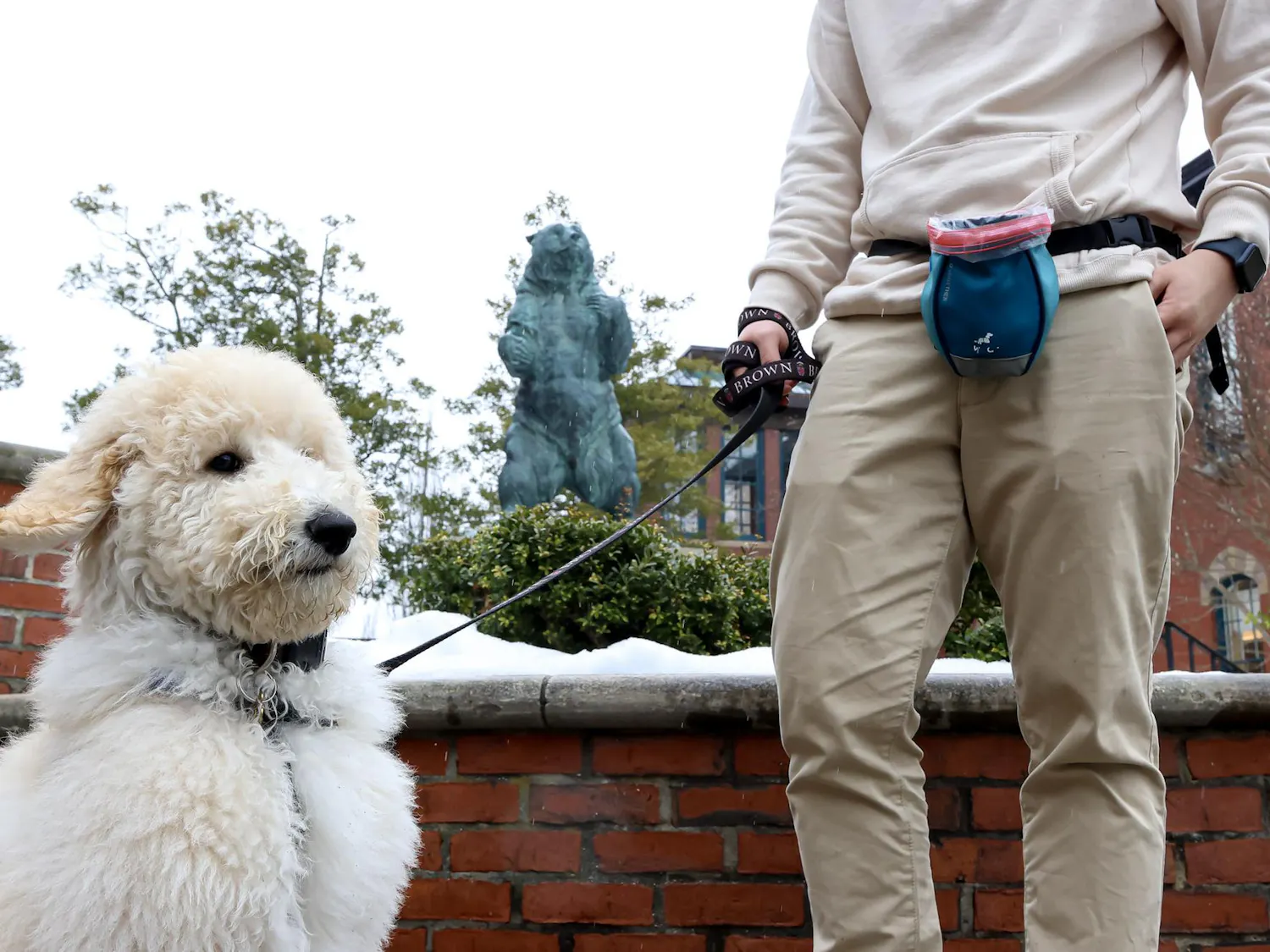 A photo of a sitting dog and its walker in front of the Bruno statue by the Main Green.
