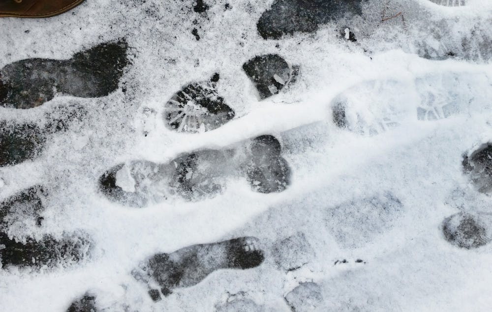 reisner_snowstorm_narayen