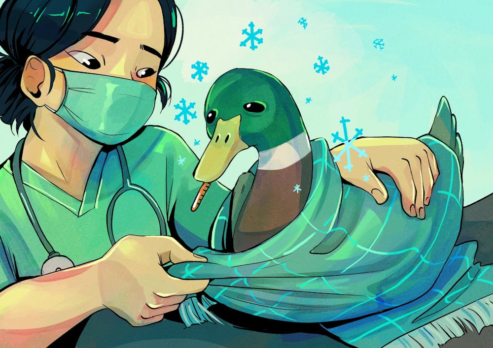 An illustration of a woman in a mask caring for a mallard duck in a green blanket.
