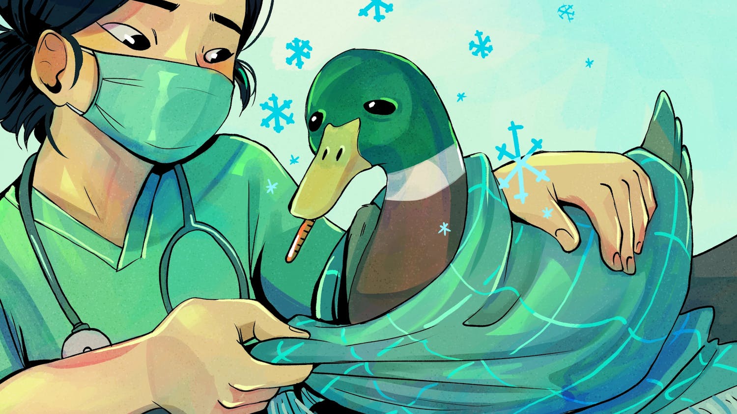 An illustration of a woman in a mask caring for a mallard duck in a green blanket.