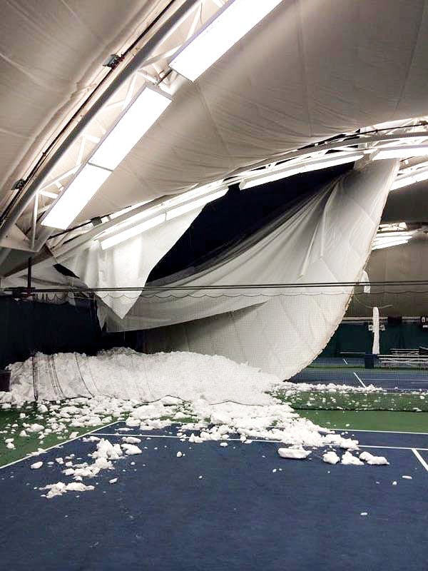 Lifshits_SnowDamage_KimberlyGlerum