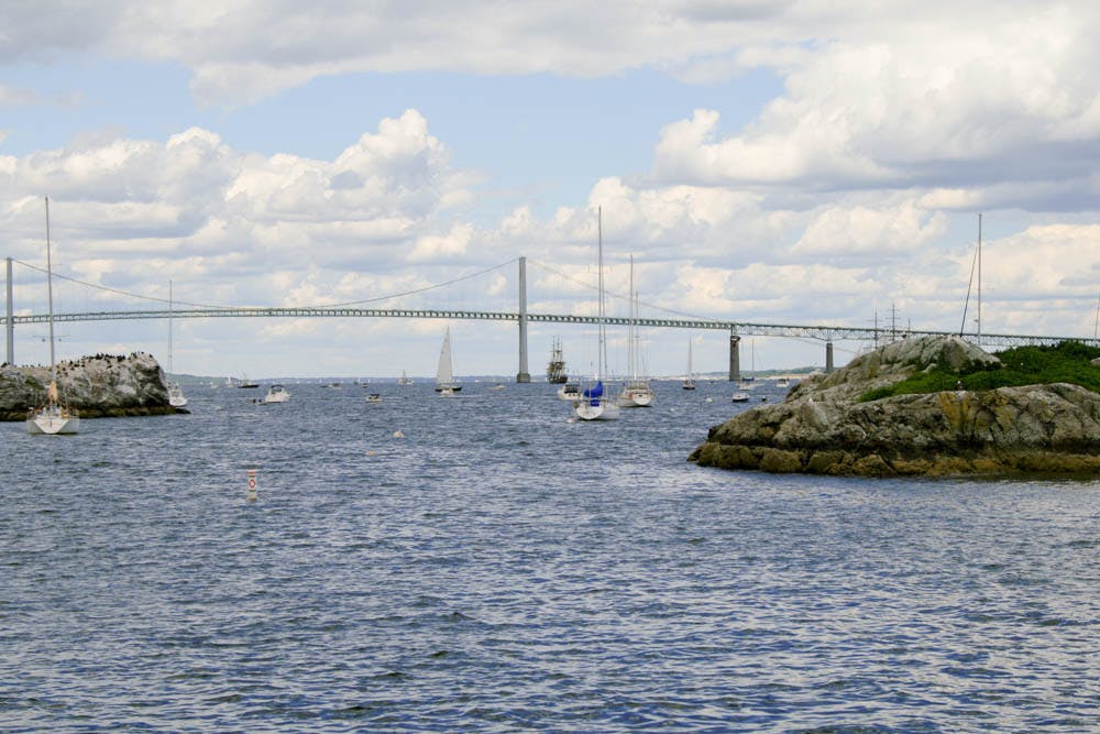 Tan_Narragansett-Research_CO-Wikimedia