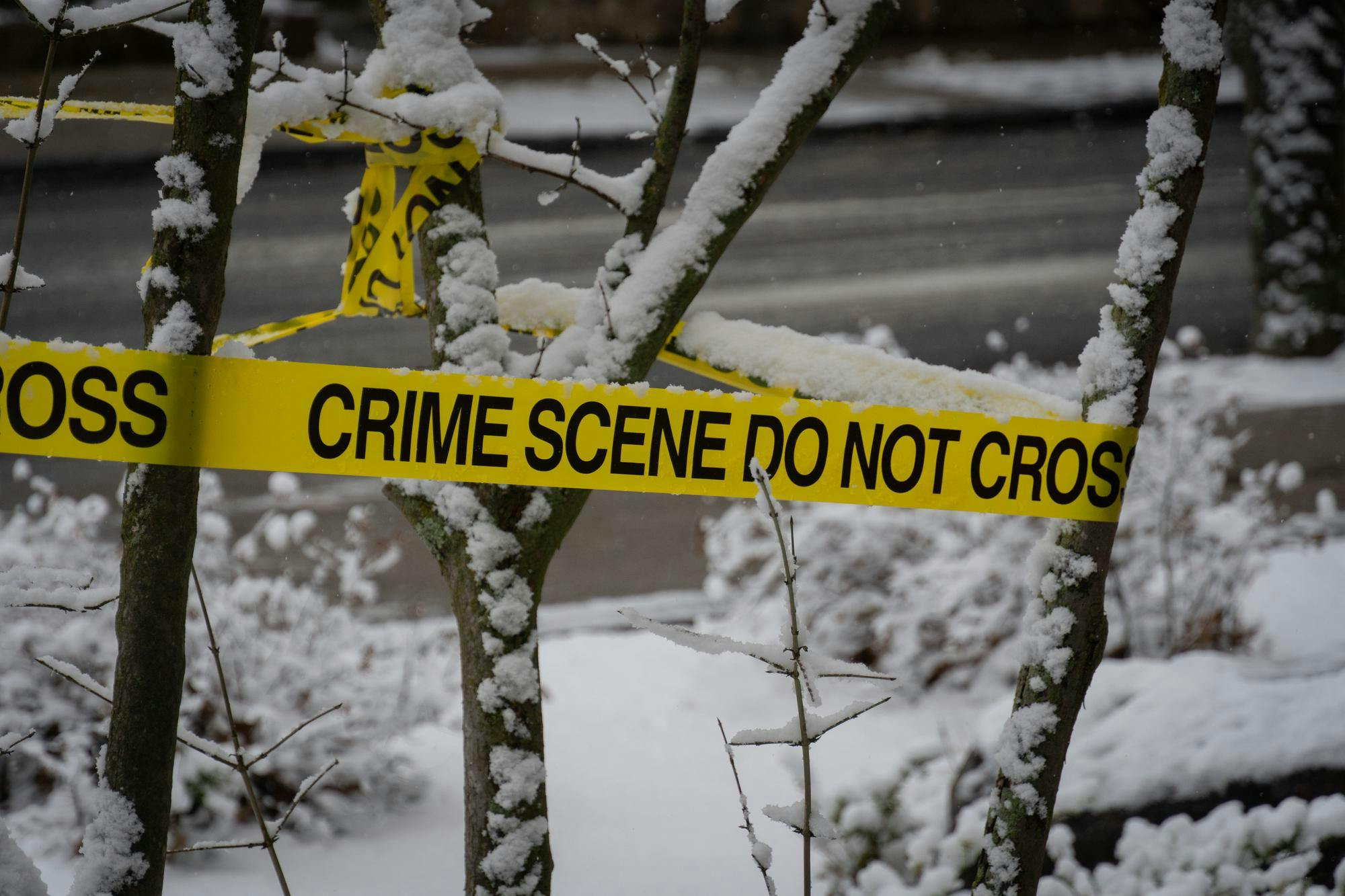 Crime scene tape wrapped around branches of a snow-covered tree. 