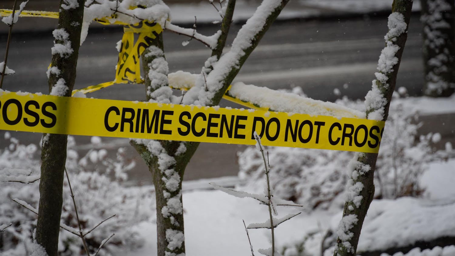 Crime scene tape wrapped around branches of a snow-covered tree.