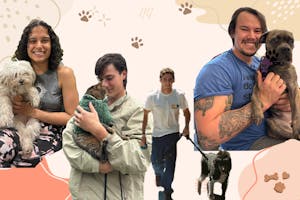 Aesthetic Modern Novel Linktree Background - 1