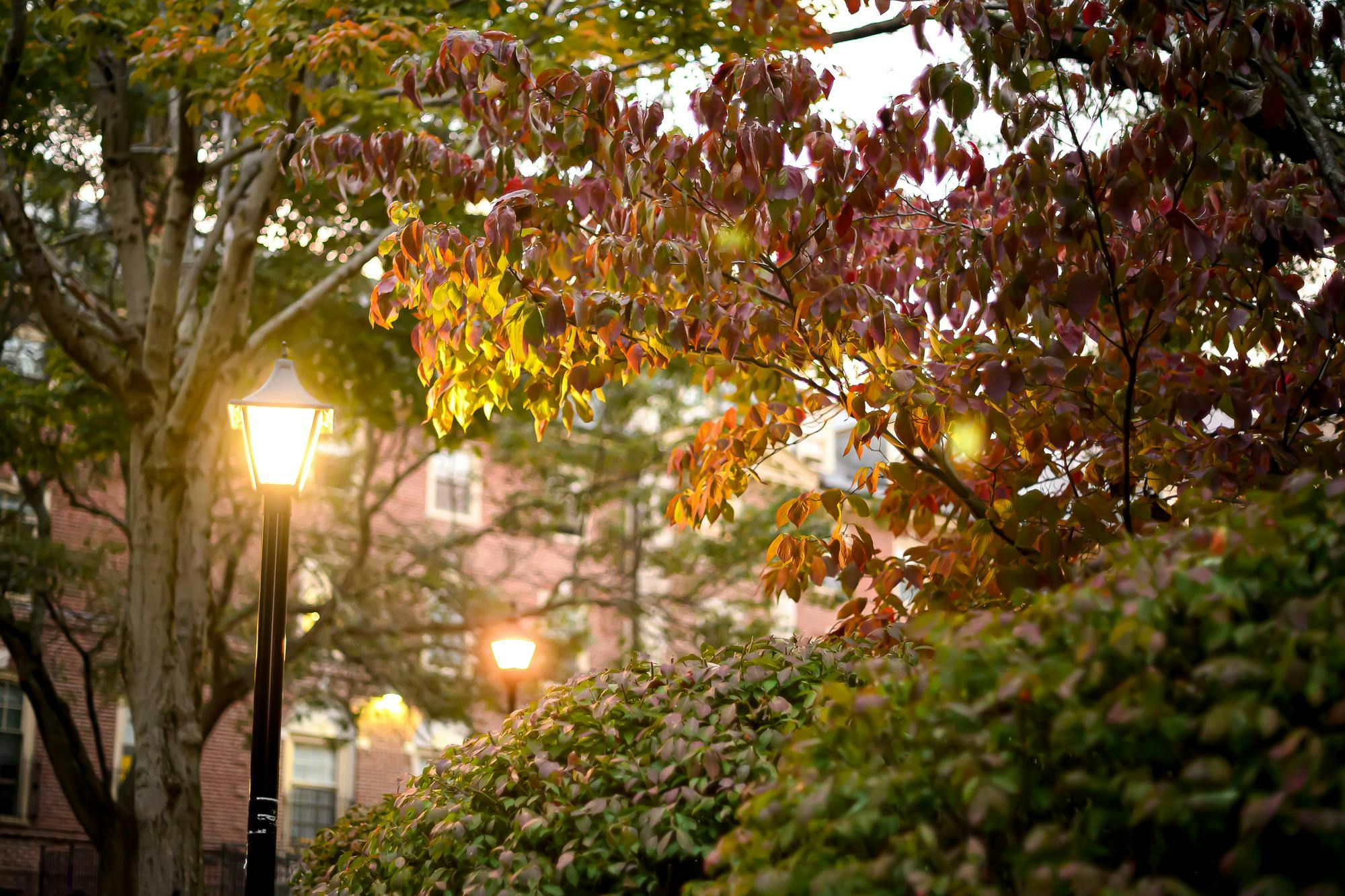 fab horatio hamilton-4.jpg