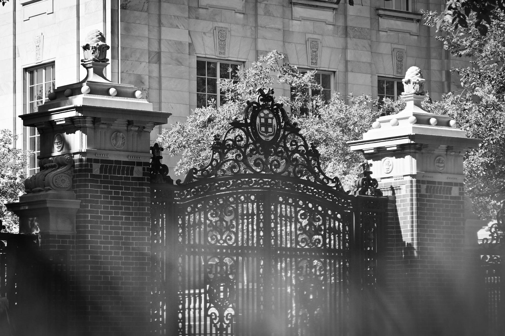 DSC_3530.jpeg