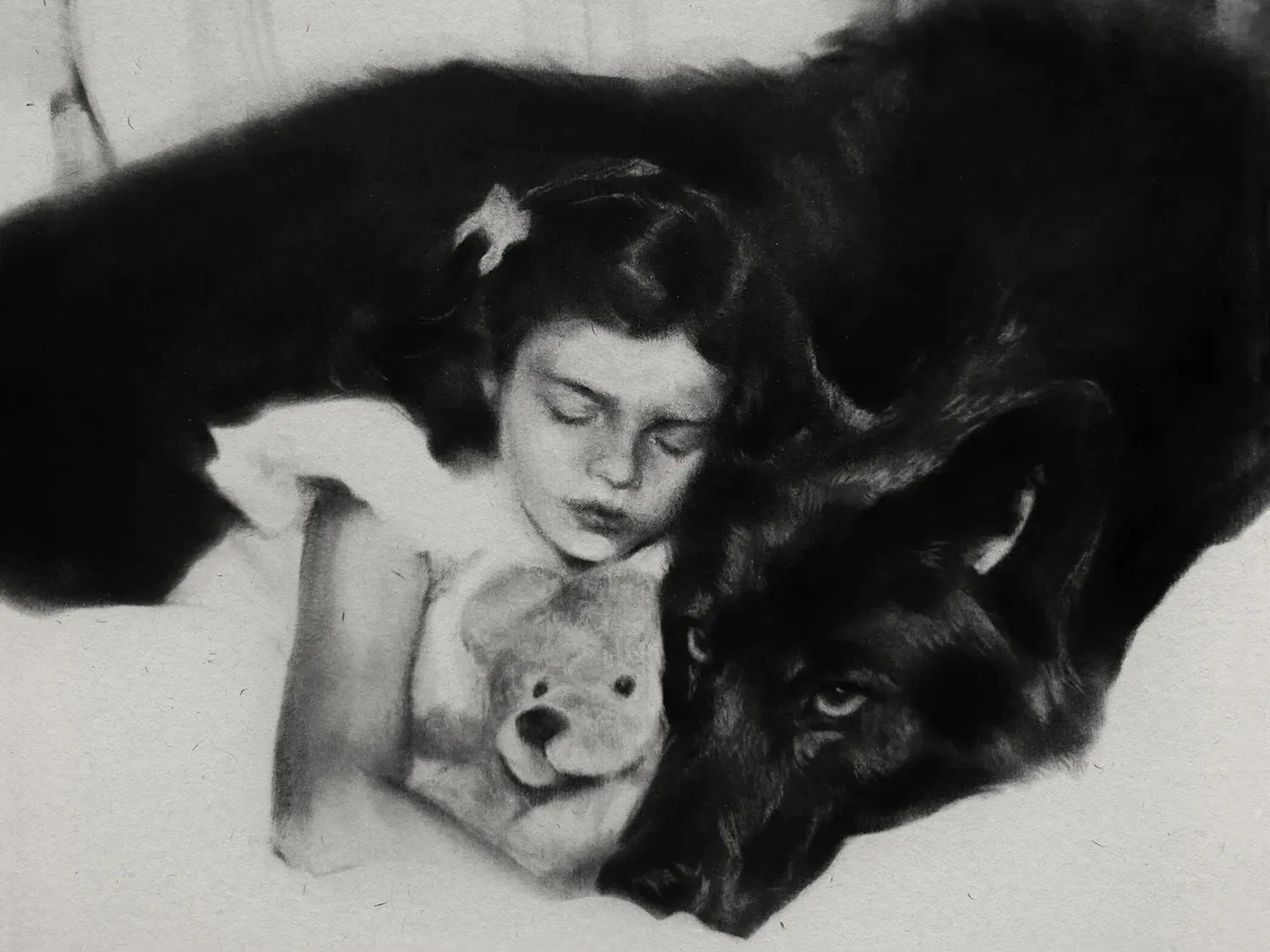 The cover art for ‘White Feather Hawk Tail Deer Hunter,’ showing a black-and-white illustration of a young girl sleeping with a big black dog.