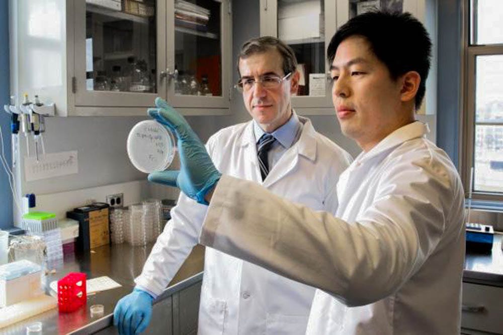 Ryan_Superbugs_BrownUniversity_Brown-University-1