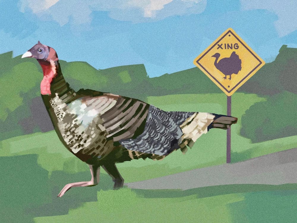 Illustration of a turkey walking on a grass field on a sunny day. 
