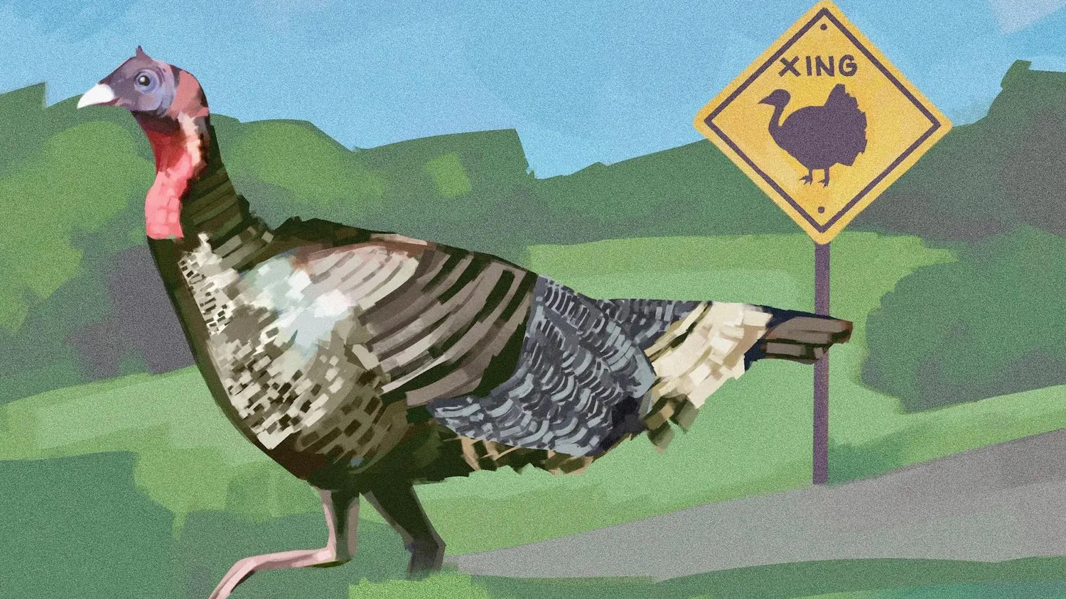 Illustration of a turkey walking on a grass field on a sunny day.
