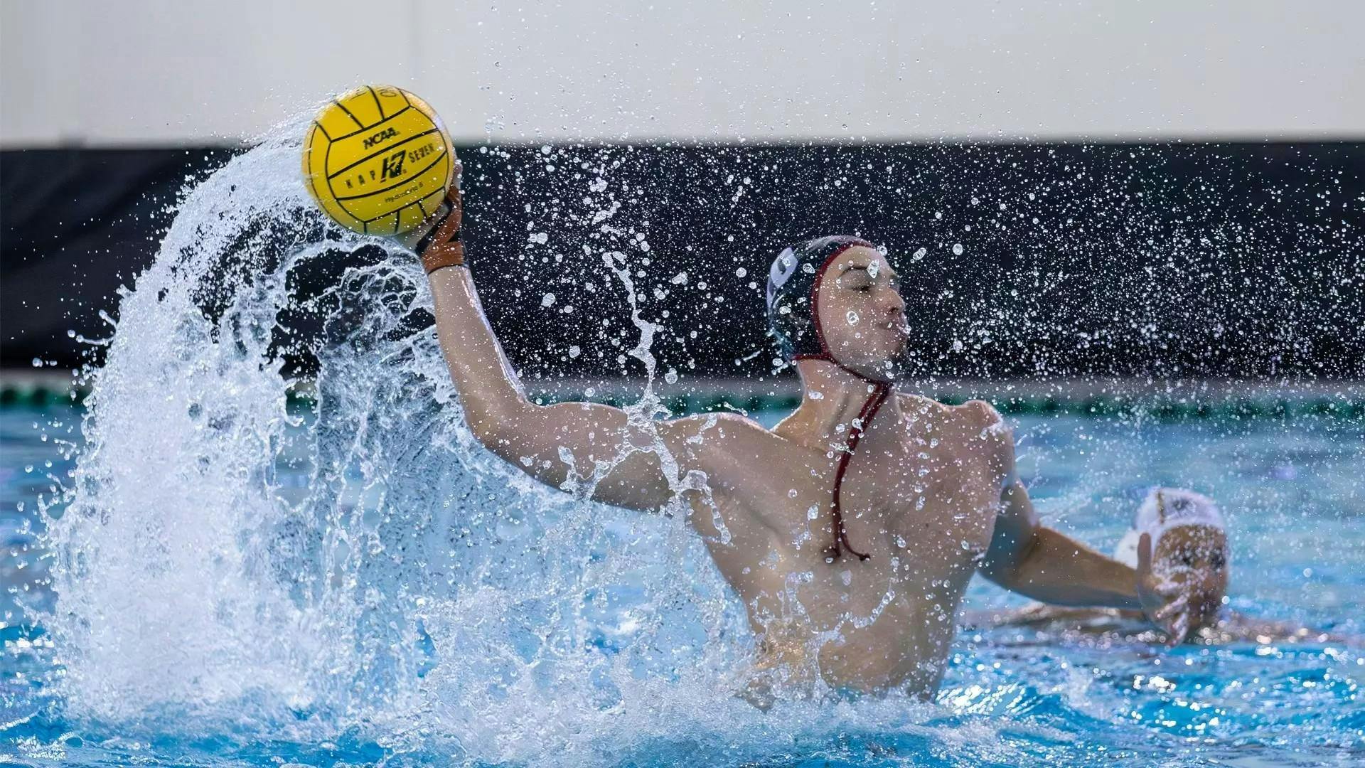 Herman_WaterPolo_CO_BrownAthletics.jpg
