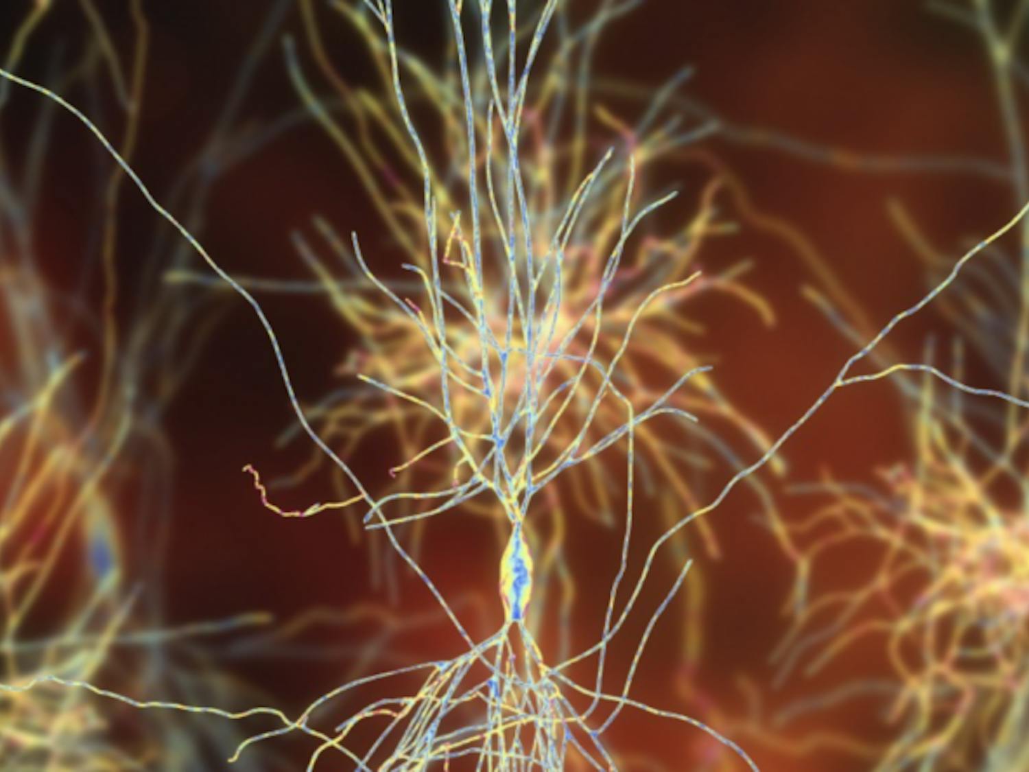 Screen-Shot-2021-05-19-at-7.33.27-PM-1536x682-1