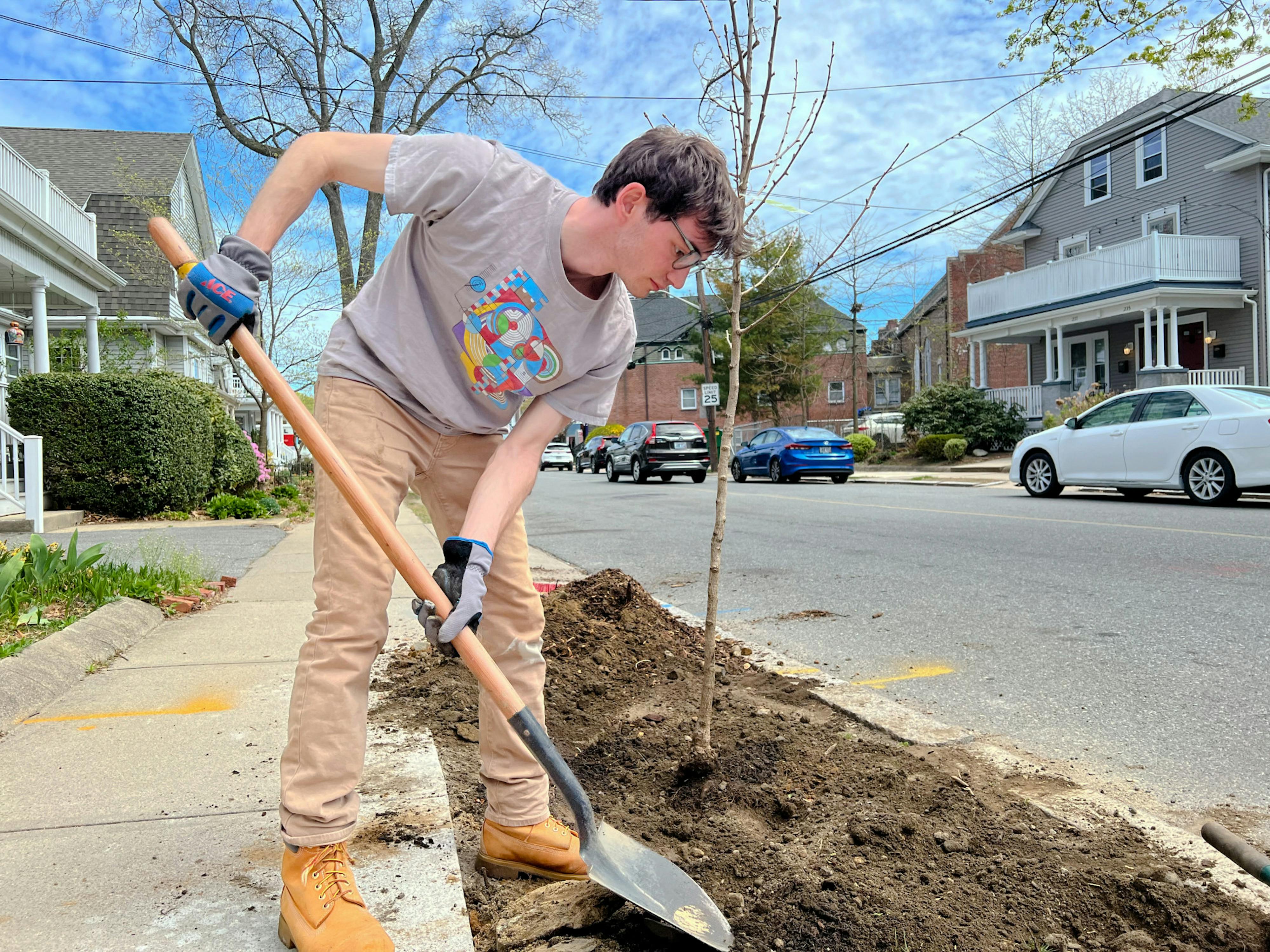 Community organizations look to build out Providence's urban forest - Vimarsana News