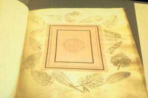 Sullivan_Nov-10-Cogut-institute-for-the-humanities_Connor-Sullivan