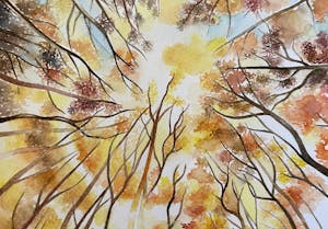 a collage of smiles.jpg