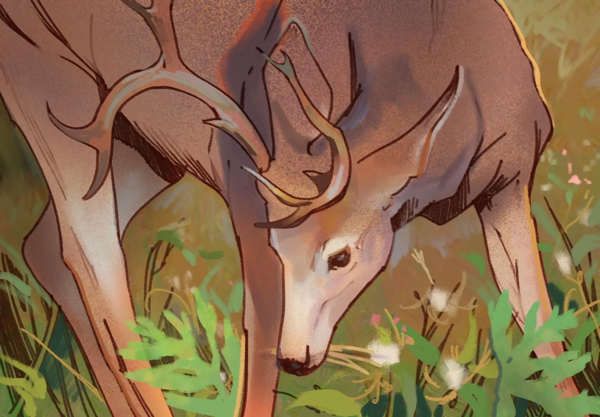 Illustration of a brown deer looking down in tall grasses.