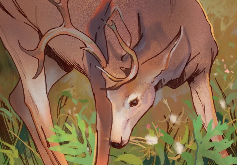 Illustration of a brown deer looking down in tall grasses.