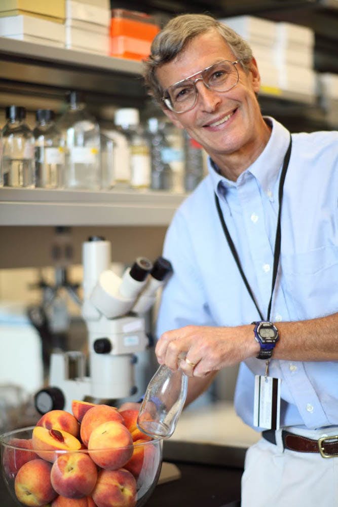 Patillo_McKeown_COKrisCambra