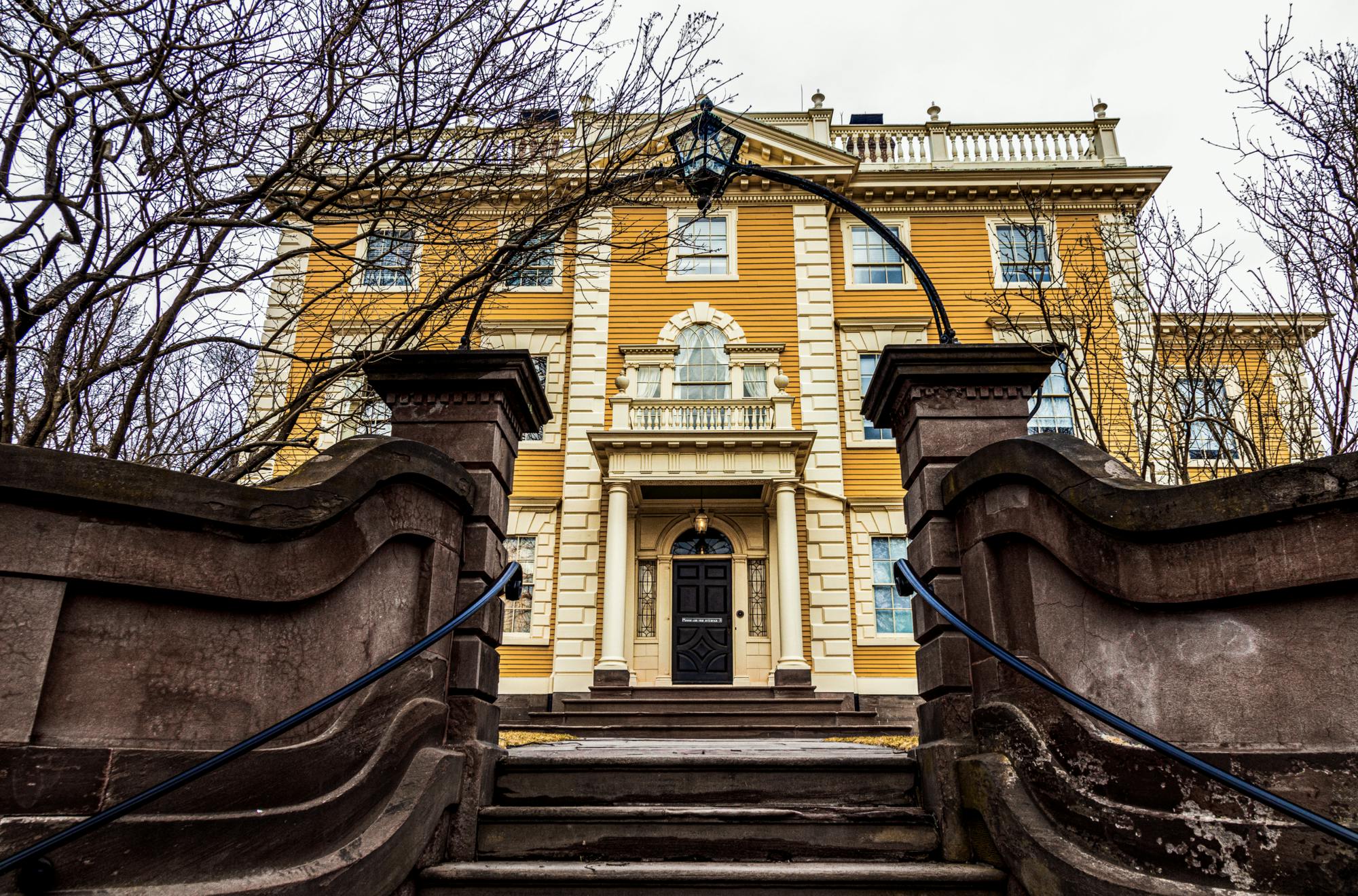 Hamilton_Systemic Racism_CO_Anna Luecht.png