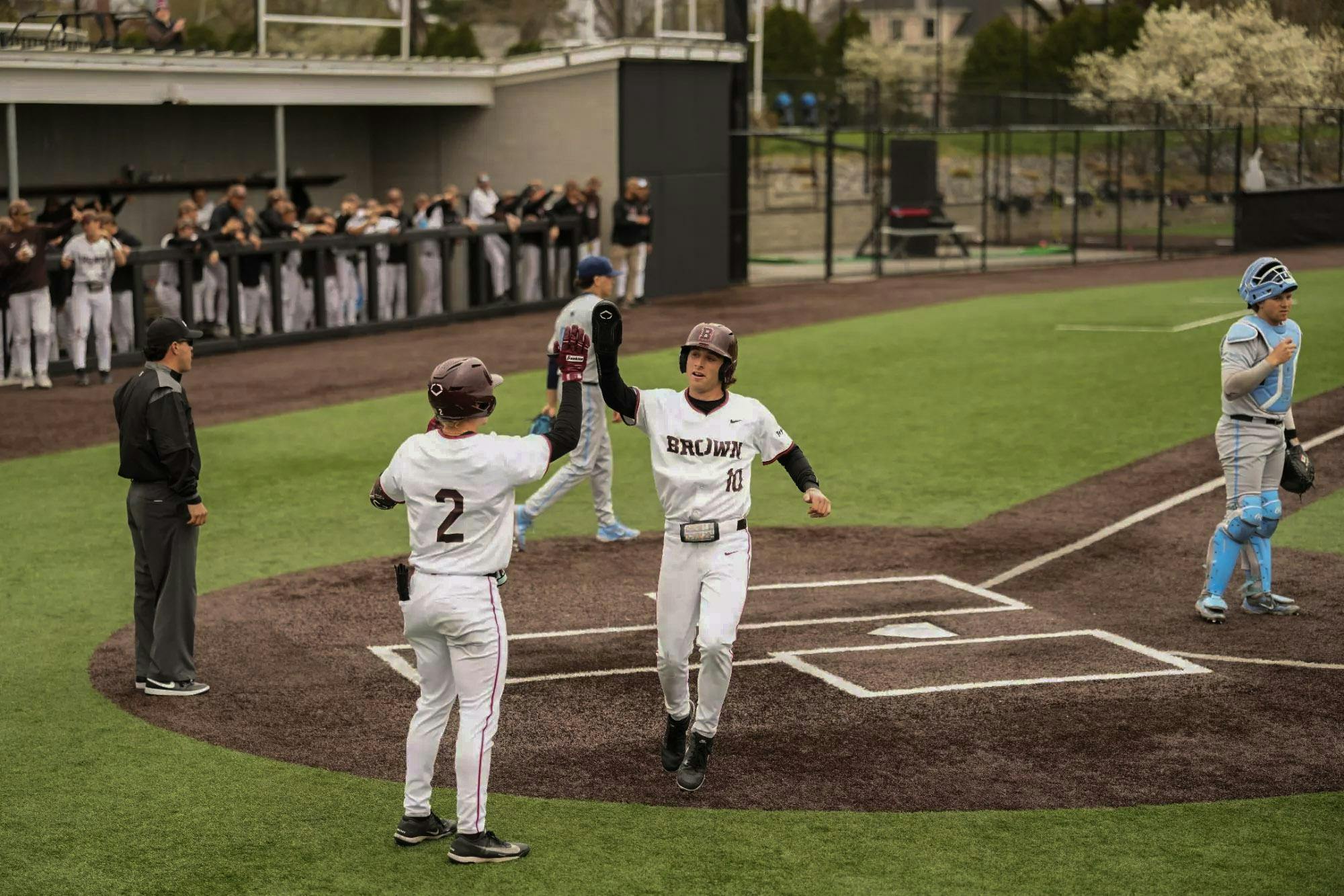 A photo of two Brown University baseball players giving a high-five to one other on the field near home base. 